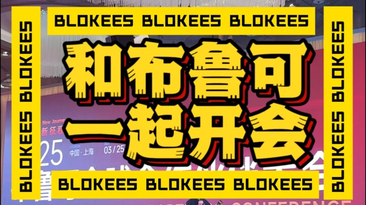 和布鲁可一起玩模型