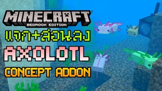 แจก+สอนลง Minecraft PE Addon เพิ่ม Axolotl Mob คู่หูใหม่จาก Cave & Cliff Update