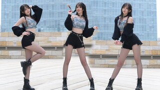 เต้นคัฟเวอร์เพลง Lovesick Girls - BLACKPINK