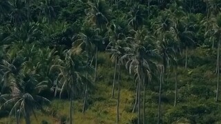 健康的活着，平安的过着，即使日子平平淡淡，简简单单，殊不知，这是人生莫大的幸福。现实生活中，很多人都在追求无尽的“有”，