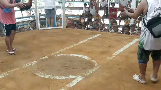 june 2025 calapan arena