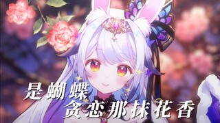 “才不是一夜风流 就忘”『是蝴蝶贪恋那抹花香』