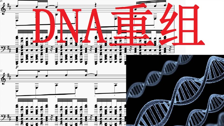 请不要在五线谱上重组DNA