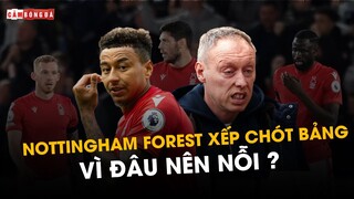 VÌ SAO NOTTINGHAM FOREST THAY MÁU NỬA ĐỘI HÌNH NHƯNG VẪN XẾP CHÓT BẢNG?