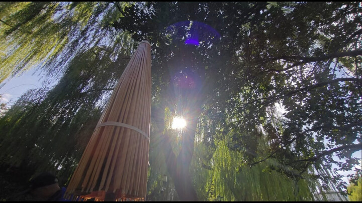 评论区摄影作品毒辣点评！