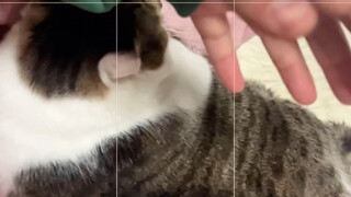 تم الأمر بالفعل.