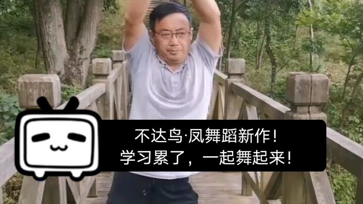 不达鸟·凤舞蹈新作！学习累了，一起舞起来！