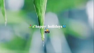 holiday