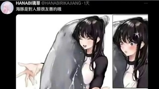 海豚对人类是很友善的哦~