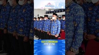 Begini Perbedaan PPPK Dan PNS! #pppk #pns #gaji