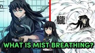 What is Mist Breathing From Demon Slayer? #demonslayer