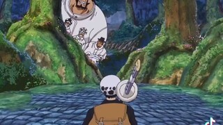 law and his crewmate♡