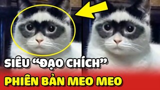 Khuôn mặt "ĐẠO CHÍCH" phiên bản MEO MEO của Hoàng Thượng khiến mọi người đề phòng 😂 | Yêu Lu