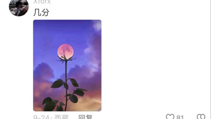 نقد حاد لصورك الفوتوغرافية في قسم التعليقات: مش عايز أديك ولو نقطة واحدة! أصحاب القلوب الضعيفة يرحلو