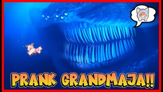 PRANK MOMON !! ATUN BERUBAH MENJADI GRANDMAJA TERBESAR !! Feat @sapipurba Roblox