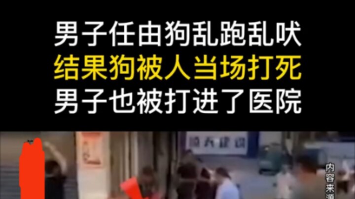 Người đàn ông để chó chạy lung tung, sủa ầm ĩ, cuối cùng chó bị người ta đánh chết tại chỗ. Bản thân