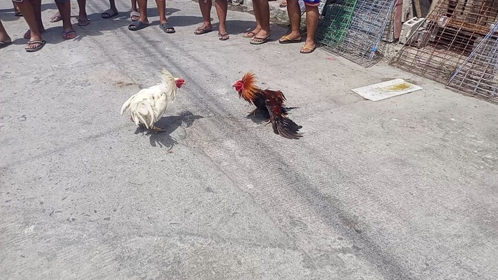 patay den nakatuka lang