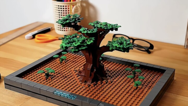 دمج دورات الفصول الأربعة في الرسوم المتحركة بالتقاط الصور الثابتة