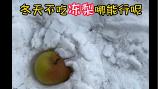 How to Enjoy Frozen Pears from Northeast China in Harbin
