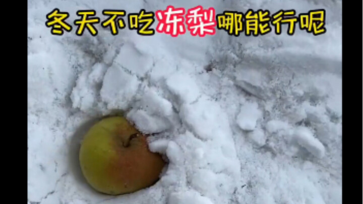 东北雪地冻梨之尔滨吃法