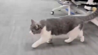 _00000nr539ys4938x2mm0mvjtt6v2mb-1-242111110022 (2)