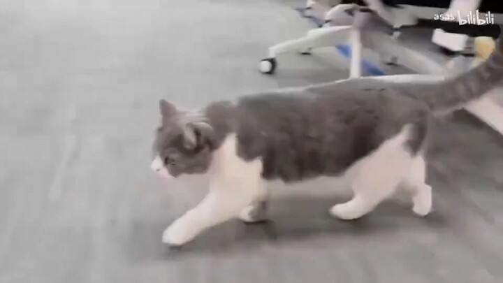 _00000nr539ys4938x2mm0mvjtt6v2mb-1-242111110022 (2)