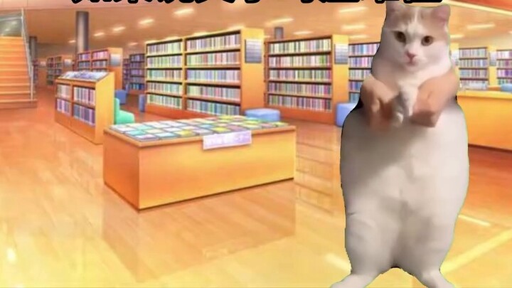 【Cat meme】No? So this is how the post-00s go to college?