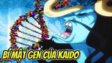 [One Piece Chap 1026 Có Gì ?] Kaido Phản Đòn Luffy – Bí Mật Quá Trình Nghiên Cứu Gen Kaido !