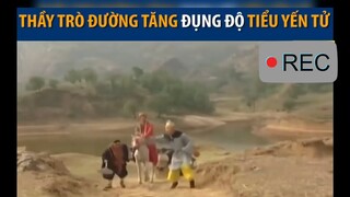 Thầy trò đường tăng đụng độ tiểu yến tử😆