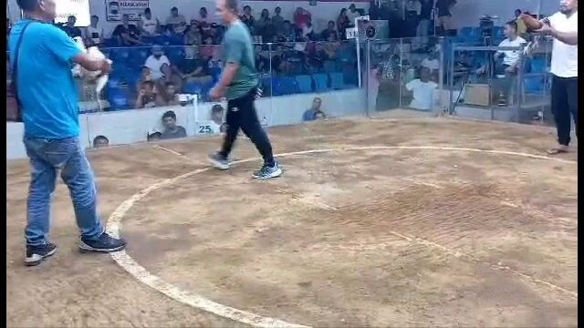 my simple white biboy white kelso