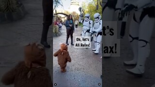 Ewok Seen in Galaxy’s Edge