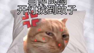 เมื่อคุณพยายามเปิดไฟเพื่อหาเจ้ายุง