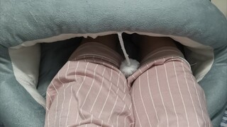 Cách sử dụng đúng đắn cho nhà mèo