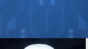 [Fish Tofu] July 2025 Shopping Guide - PUNI★MOFU Wolf丨Devil-type Straf bis丨Laetitia Silver Edition丨Y