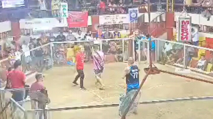 2hits champion