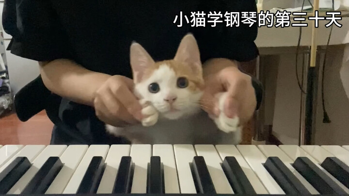 Em trai của Chopin, Xiao Mao, chơi nhạc nền Doraemon