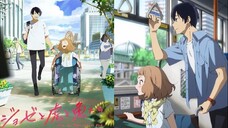 Josse To Tora To Sakana-Tachi Sub Indonesia