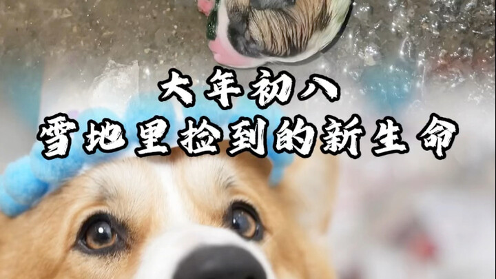 Time flies—before we know it, a year has already passed. Thank you for letting me meet you!