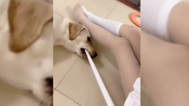 Fun|Hilarious Moments|Funny Acts