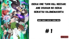Isekai One Turn Kill Neesan Episode 1 subtitle Indonesia