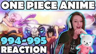 THE RAID BEGINS!! One Piece Anime Reaction | 994 - 995