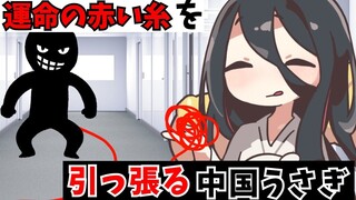 （熟肉）被命运的红线牵引的中国兔子