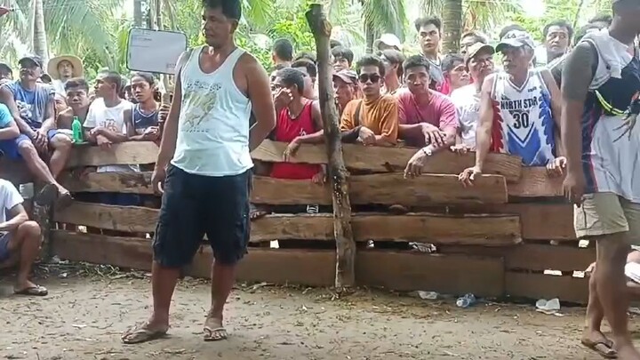 update buyer win sa fan ran