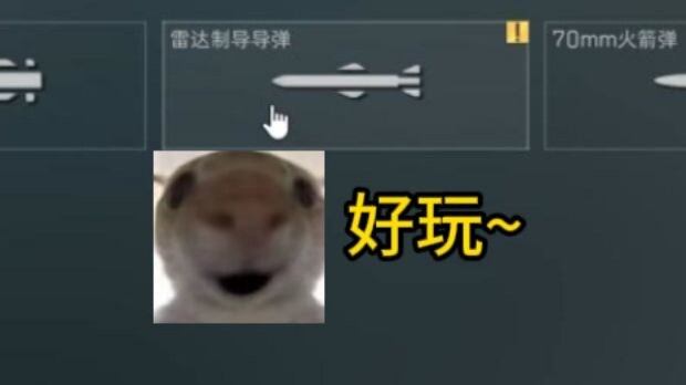 固定翼4级雷达制导捣蛋~