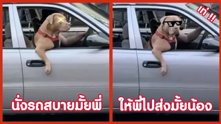 นั่งรถสบายมั้ยพี่ ให้พี่ไปส่งมั้ยน้อง !! ( รวมฮาพากย์ไทย )