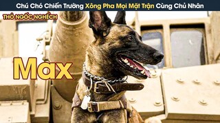 [Review Phim] Chú Chó Chiến Trường Dũng Cảm Xông Pha Mọi Mặt Trận Cùng Chủ Nhân