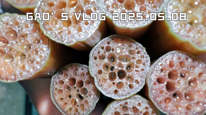 Water Lily Side Story 2.0: Is it my fault for being too gentle?!