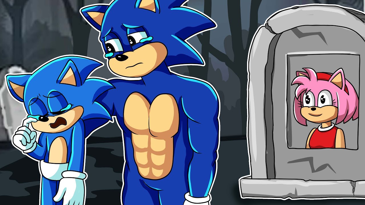 POOR SONIC LIFE — Baby Sonic !!! Please Come Back With Sonic and Amy— Sonic  the Hedgehog Animation, by squidgame