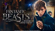 Fantastic Beasts and Where to Find Them (2016) SUB INDO FULL HD