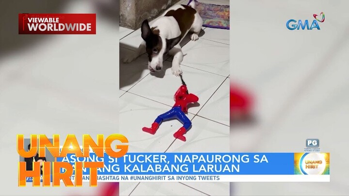 Hirit Good Vibes: Napa-“aw” ka rin ba sa prank” | Unang Hirit